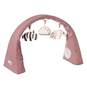 Baby's Activity Playgym - Powder Pink