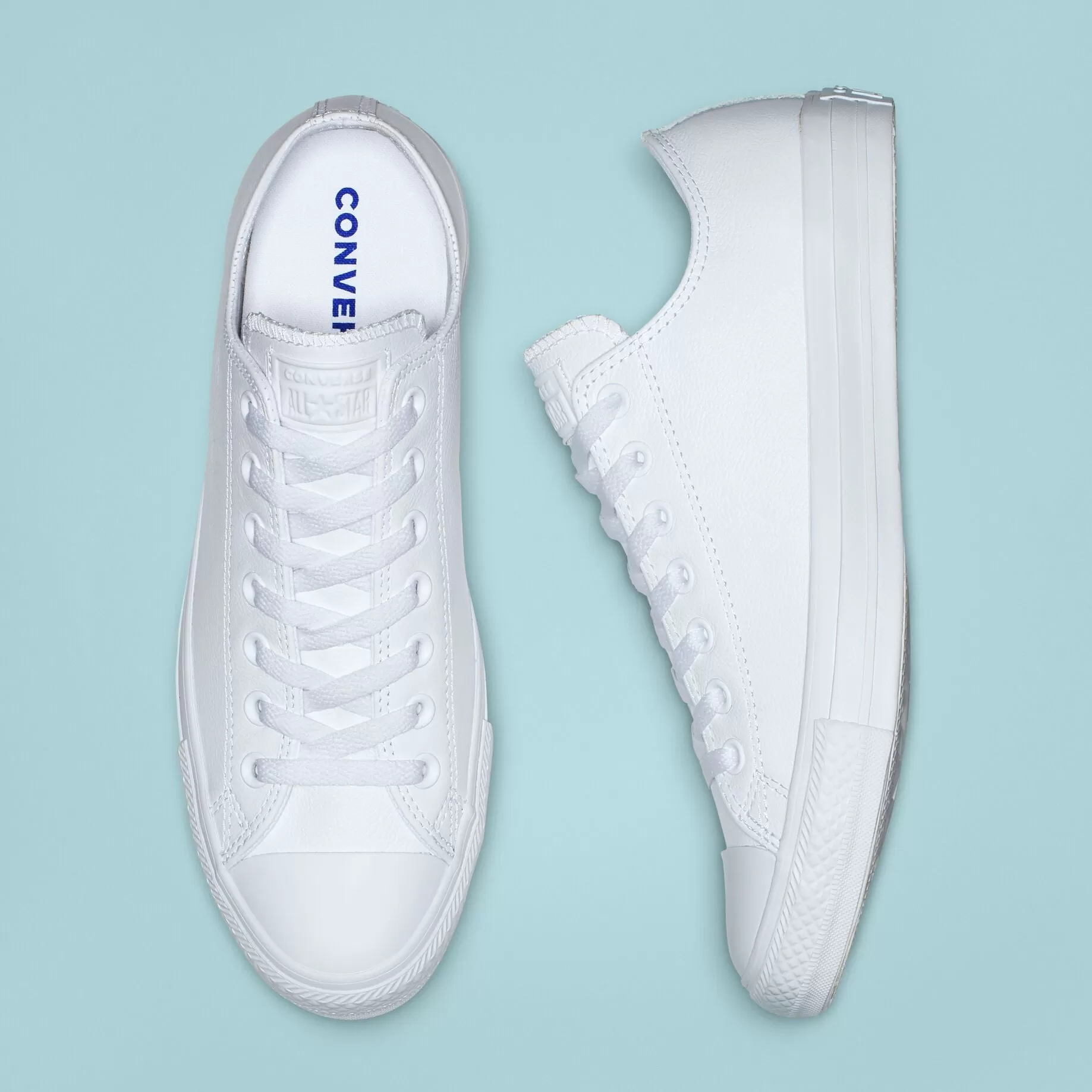 Converse Chuck Taylor All Star Leather Low White