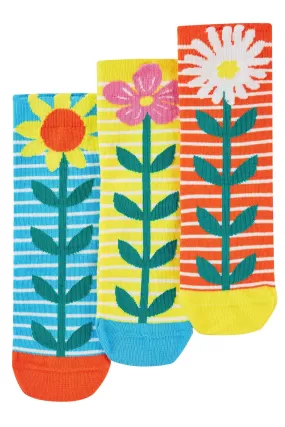 Frugi Echinacea Rock My Socks 3 Pack