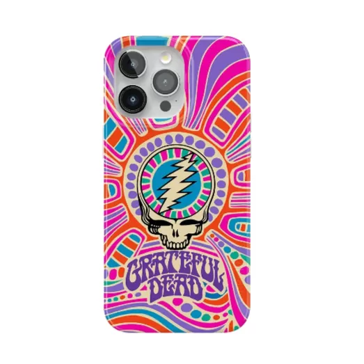 Grateful Dead | Art of Chaos | Grateful Dead Skull Case