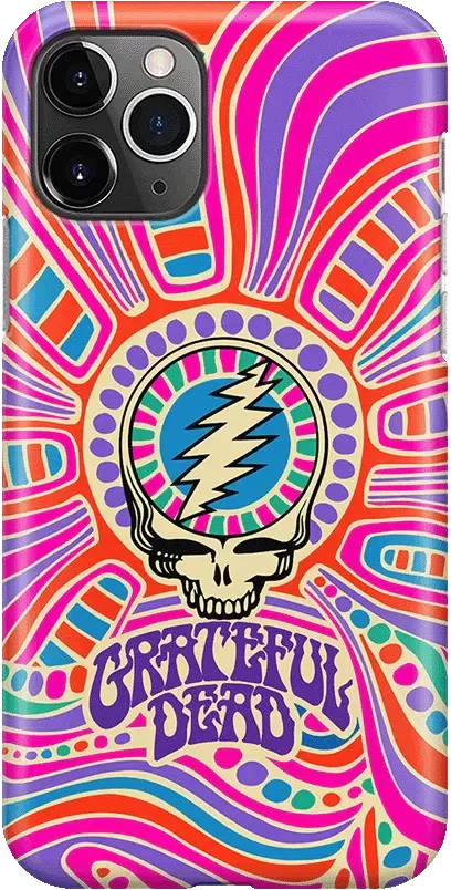 Grateful Dead | Art of Chaos | Grateful Dead Skull Case