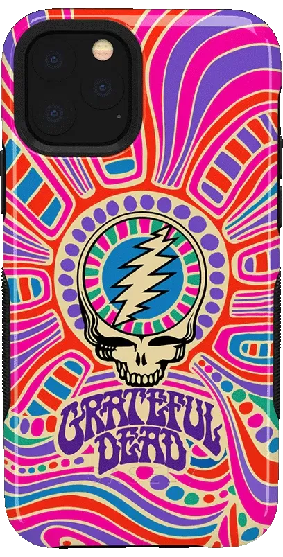 Grateful Dead | Art of Chaos | Grateful Dead Skull Case