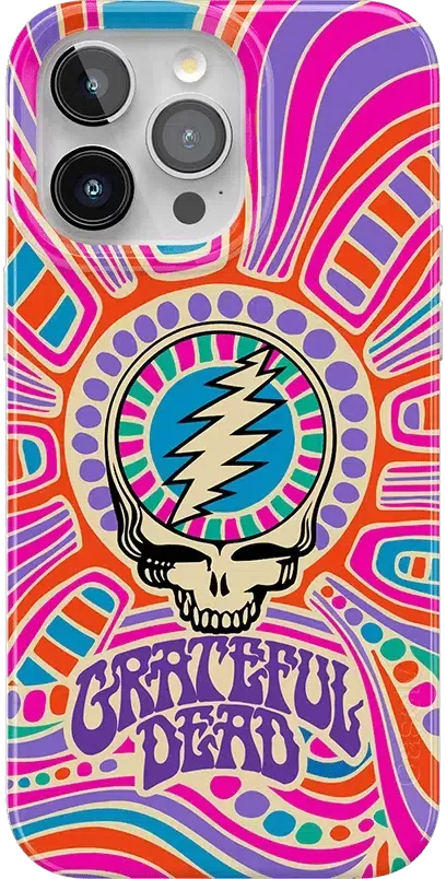 Grateful Dead | Art of Chaos | Grateful Dead Skull Case