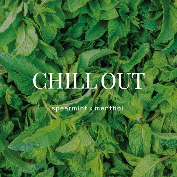 Shower Steamer - Chill Out