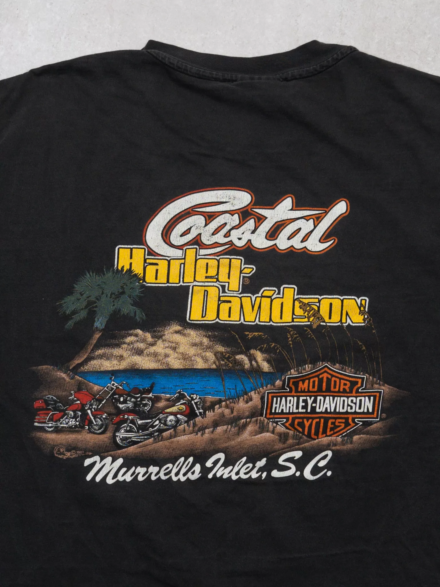 Vintage '87 Washed Grey Harley Davidson SC Tee (L)