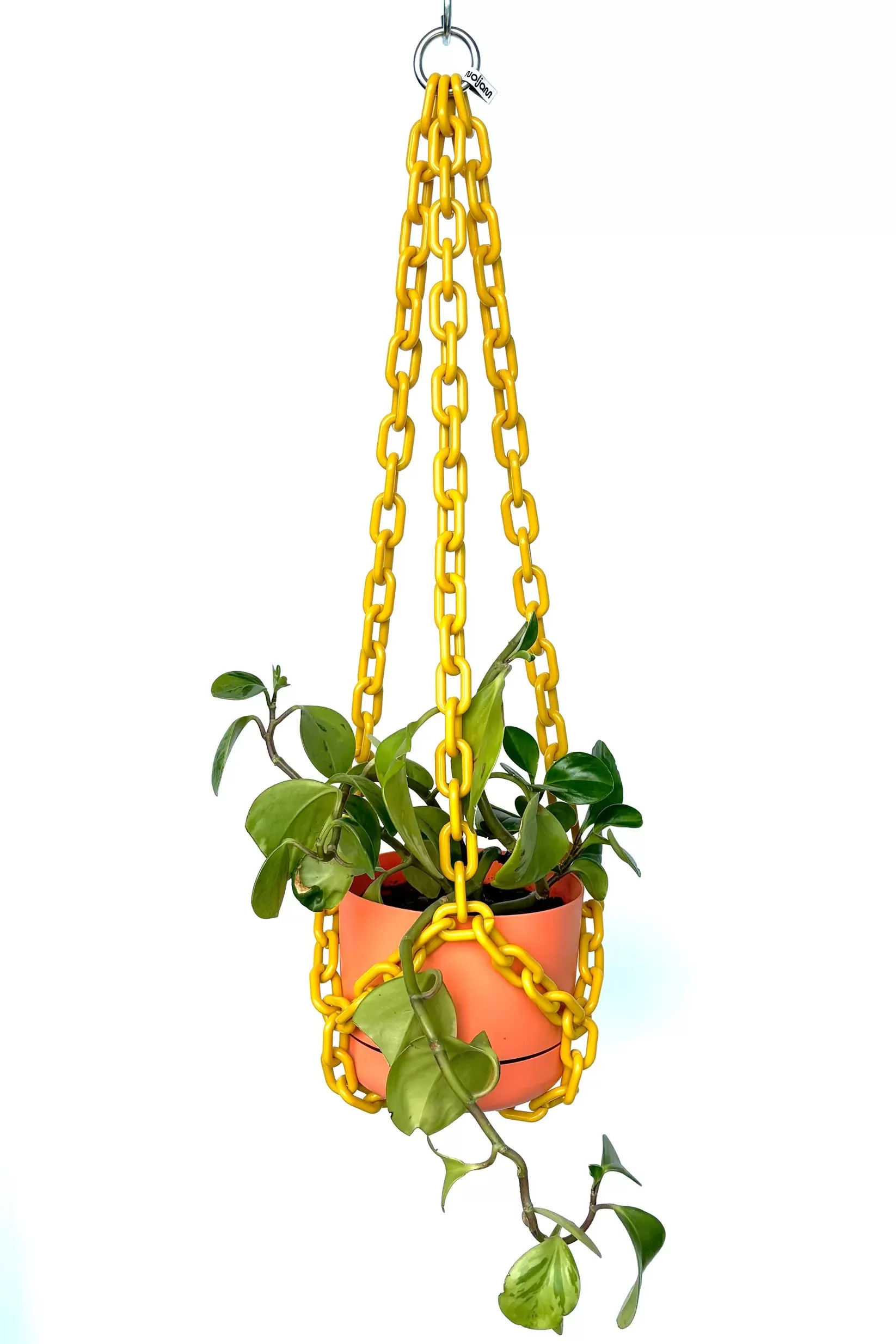 WOLJAM - UNIVERSAL - MUSTARD PLANT HANGER